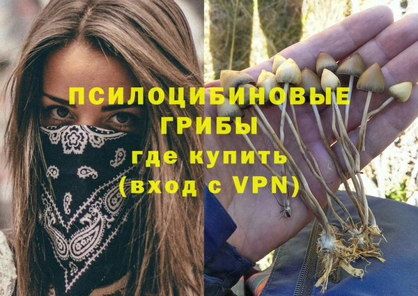 COCAINE Покачи