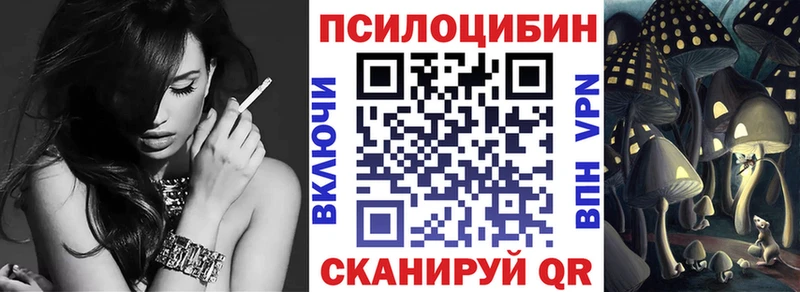 Галлюциногенные грибы Psilocybe  Красновишерск 